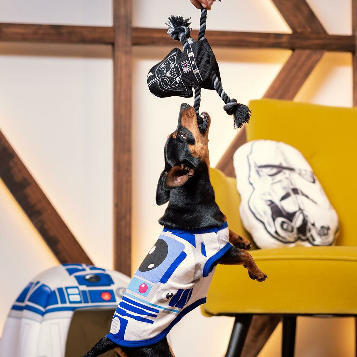 V6HB10D460F33A6BBA12137726B3E987448R5145236P10