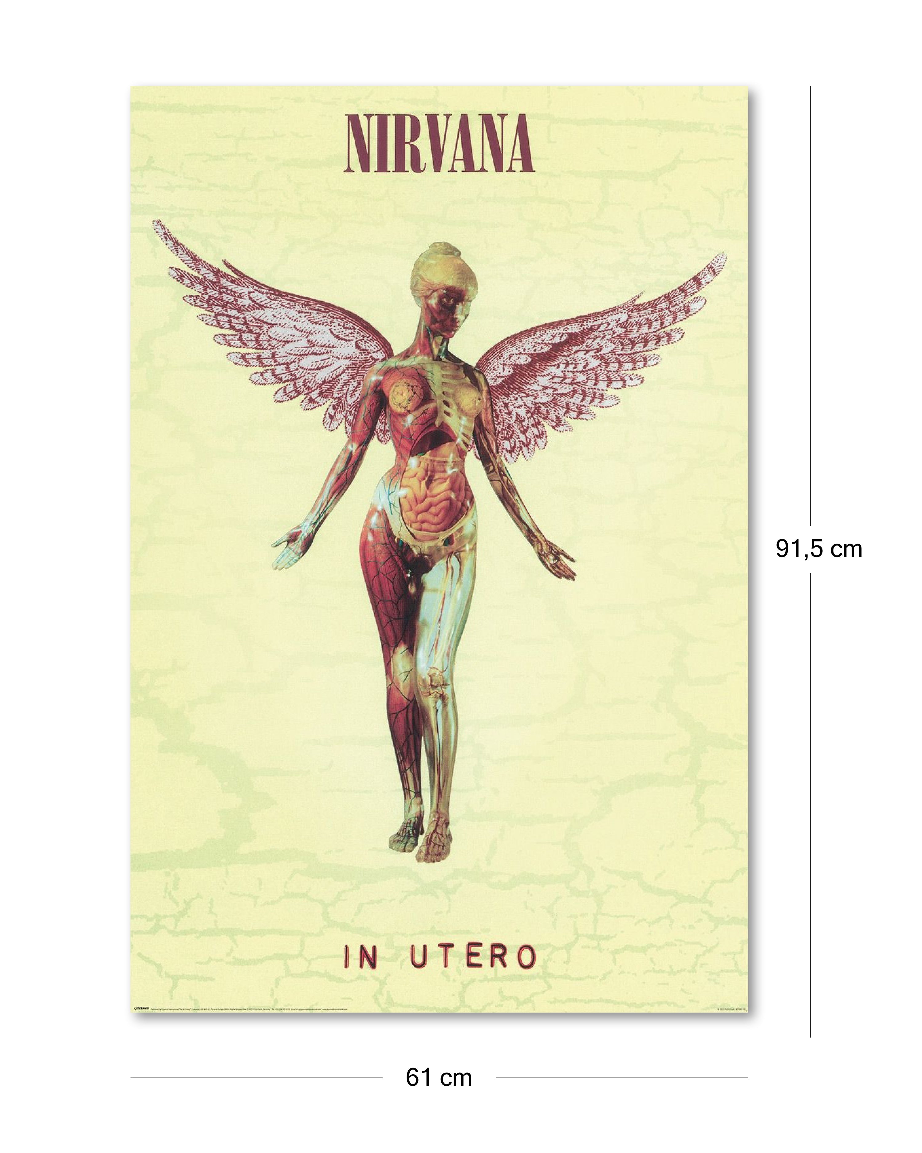 Nirvana In Utero Poster