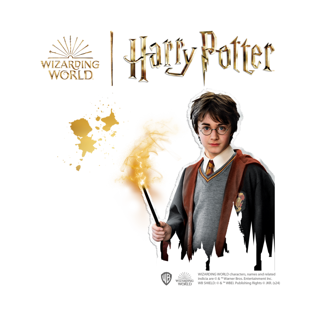 SES - Harry Potter - Gipsgießset