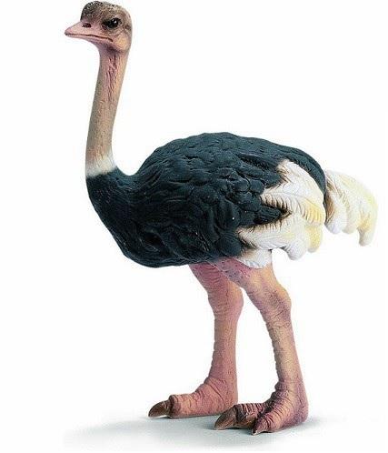 Schleich Strauss