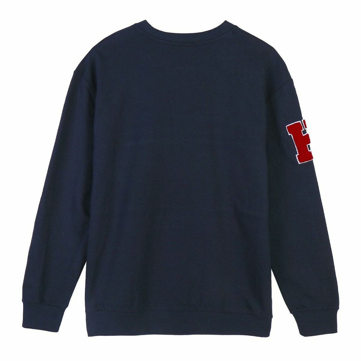 V12HBA2F778DF28C52EDB701A690F24D98BER4724500P5