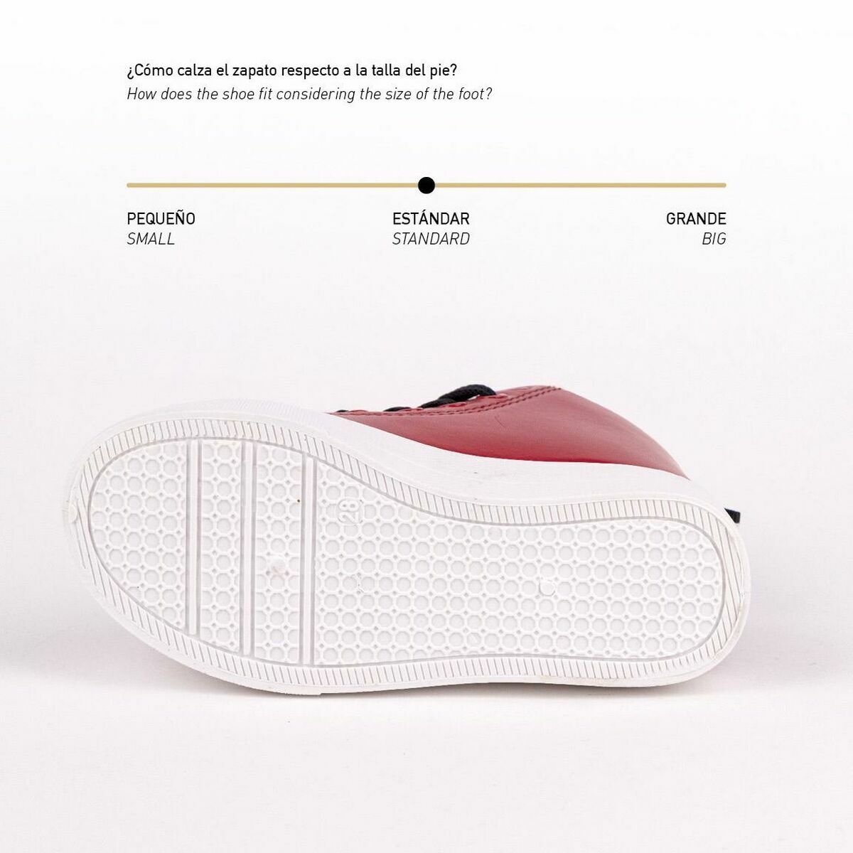 V8H2416D505100FCAF27141D6402523C076R4725545P6