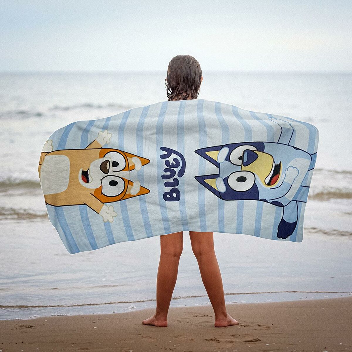 V4HD8B87EB6AEB256E20720A6F2009ED56AR6657818P3