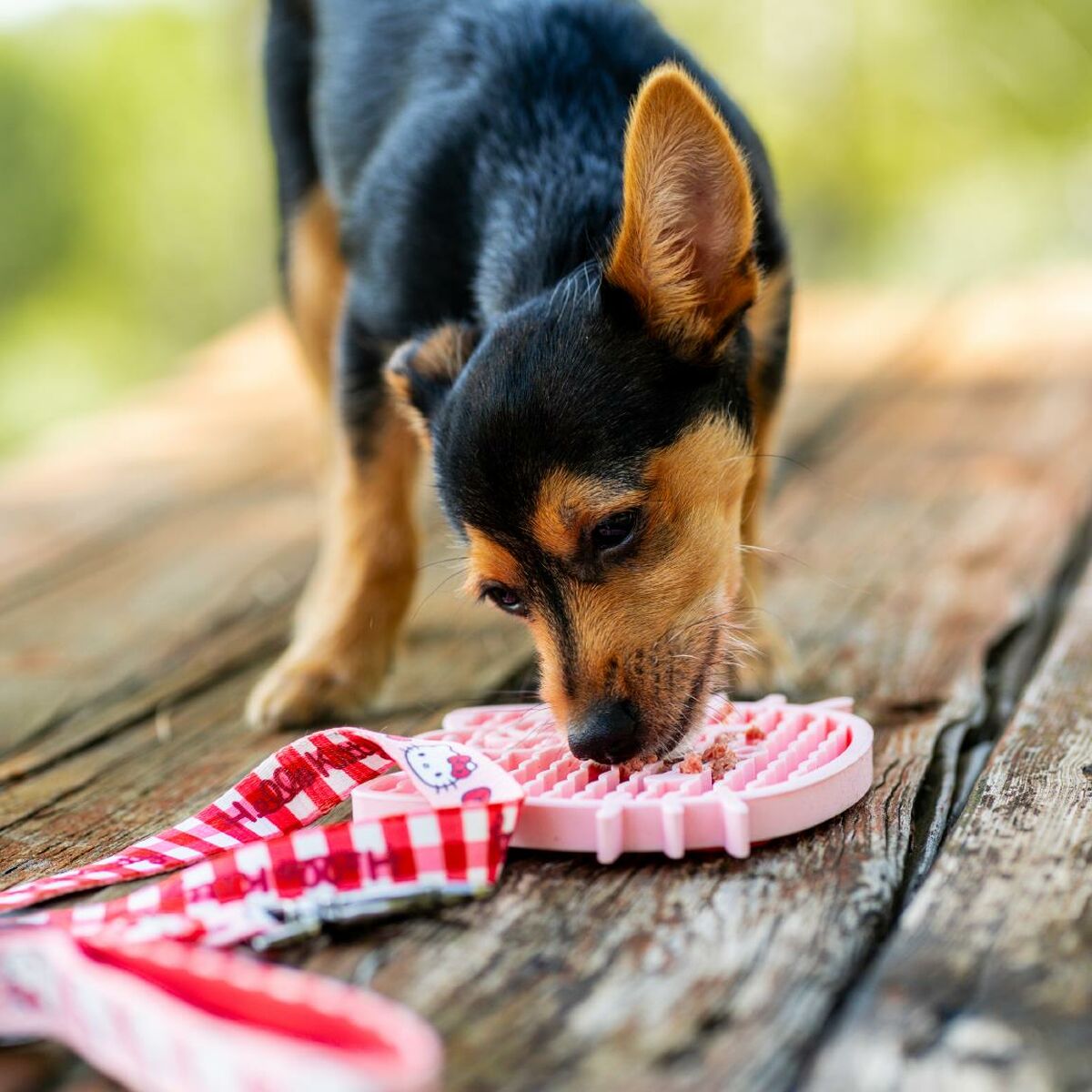 V2H2E43A561C1C9F719C75448731255C723R7055522P3