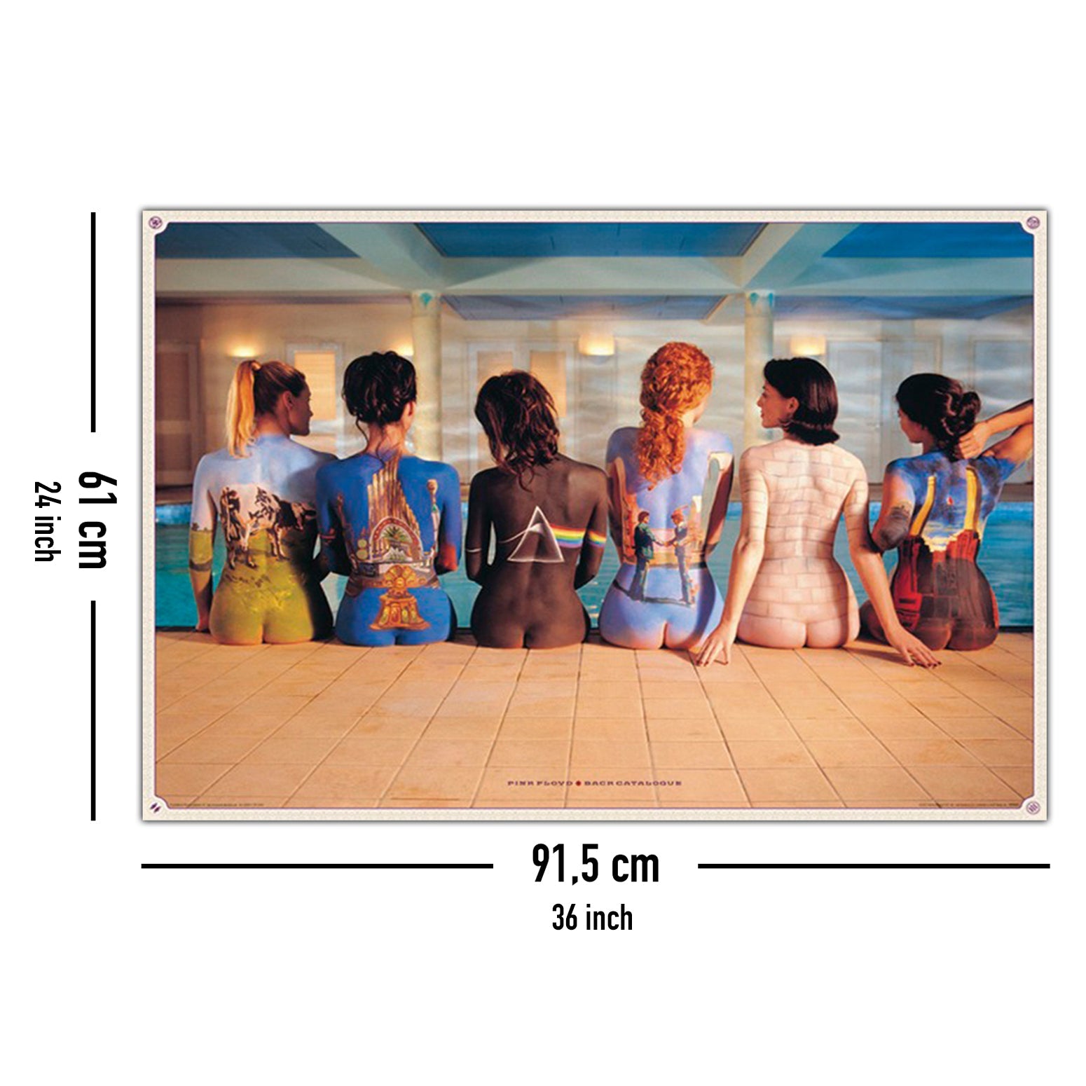Pink Floyd Bodypainting Album Covers Poster