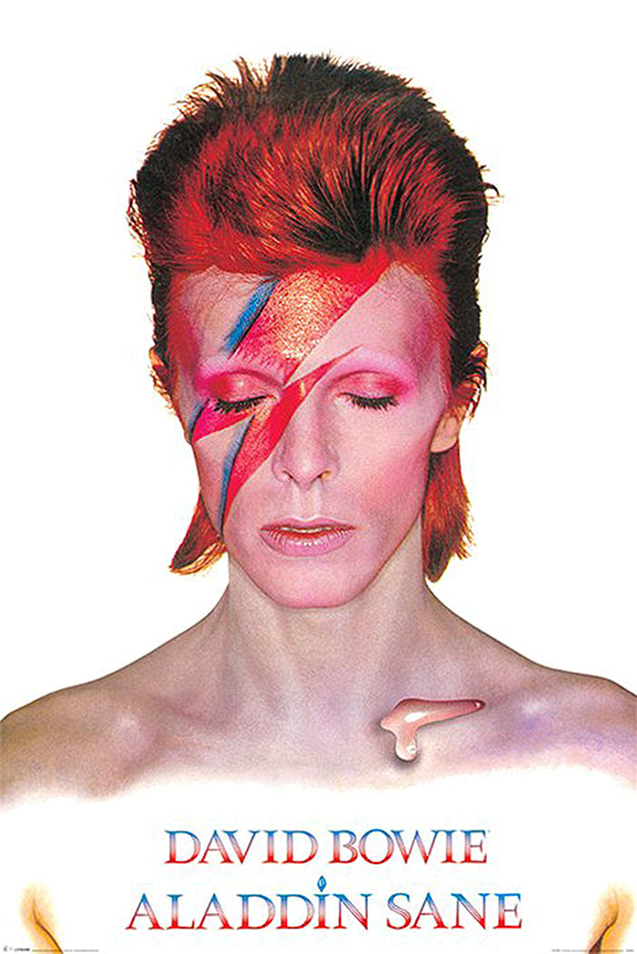 David Bowie Aladdin Sane Poster