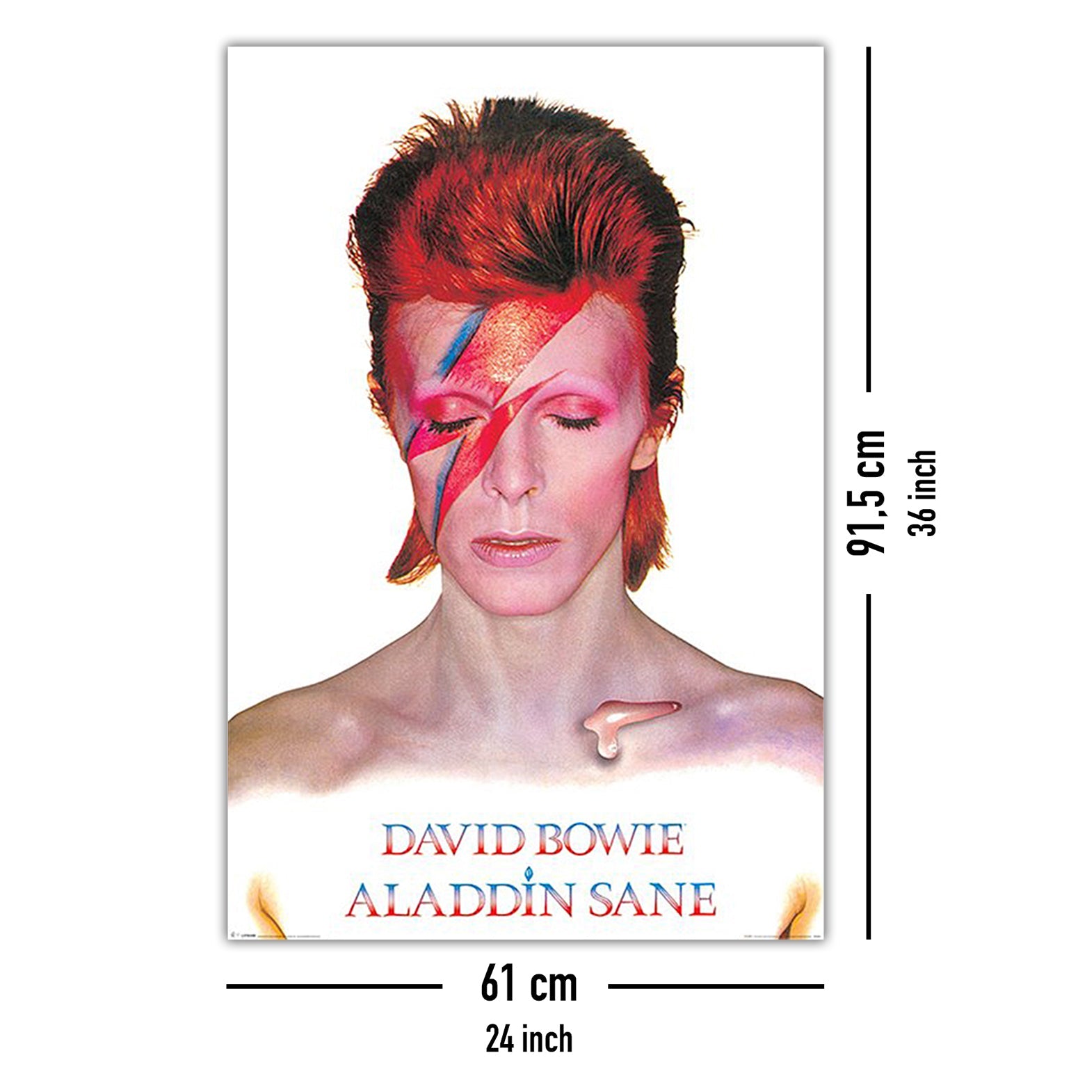 David Bowie Aladdin Sane Poster