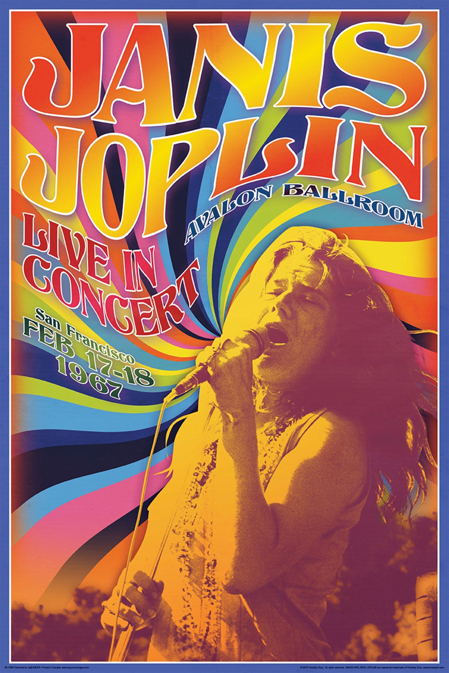 Janis Joplin Live In Concert Poster