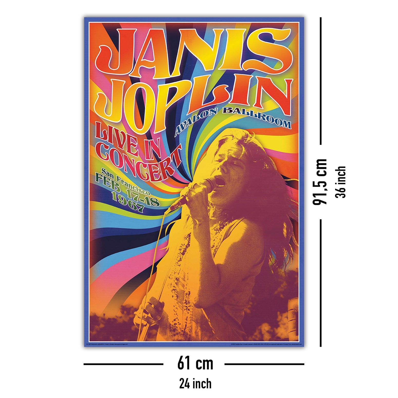 Janis Joplin Live In Concert Poster