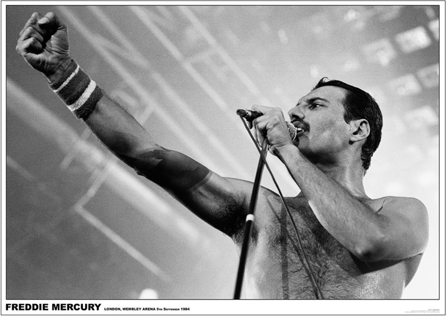 Queen Freddie Mercury Poster