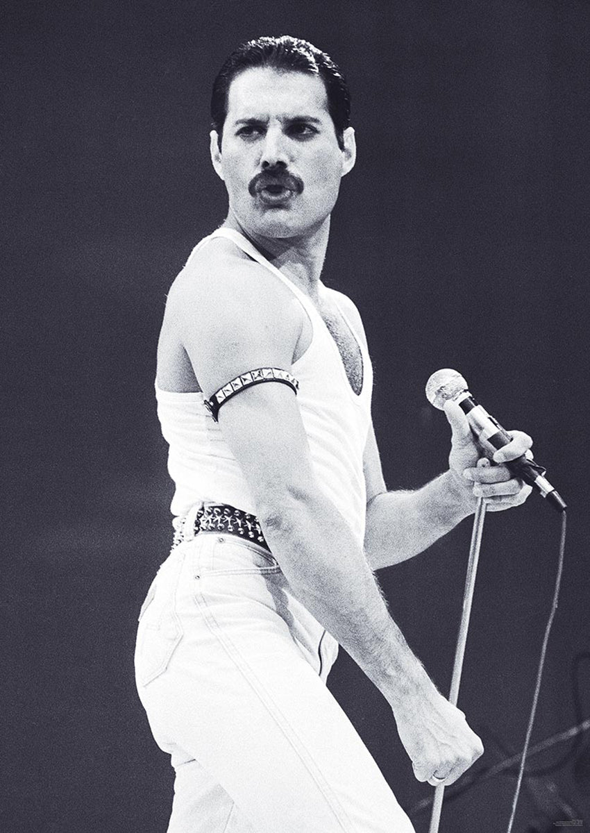 Queen Freddie Mercury Poster